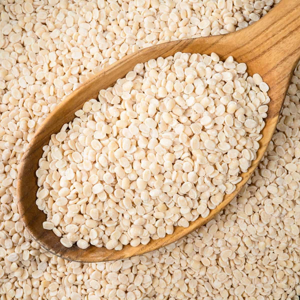 Daal Maash