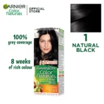 Garnier Hair Color 1-Natural Black