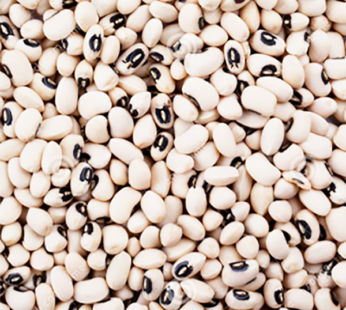 White Beans ( Safeed Lobiya)